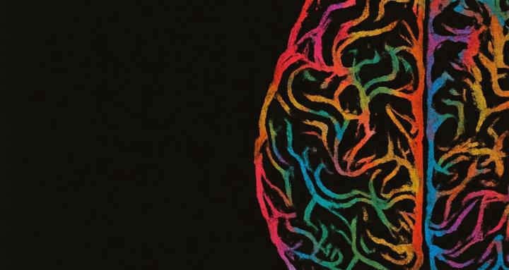 THE MIND MUSCLE ACADEMY™