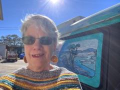 Lesley Pollak