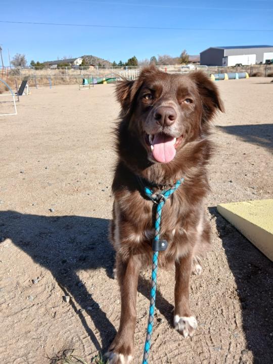 Gabriella Cartwright