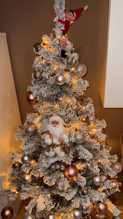 Dario Alexander Winingther Ramírez