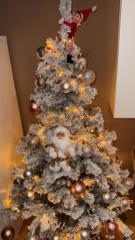 Dario Alexander Winingther Ramírez