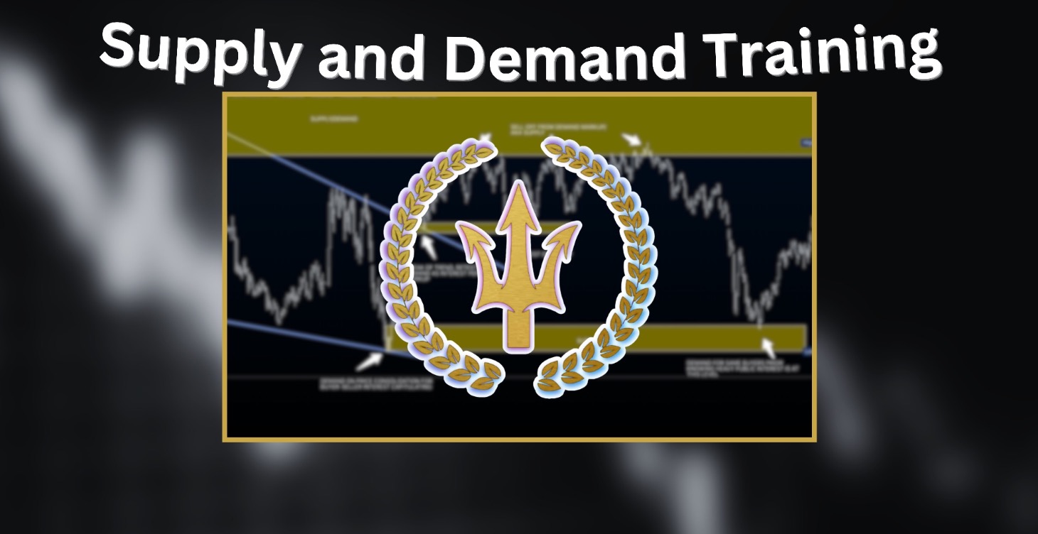 Supply and Demand Training