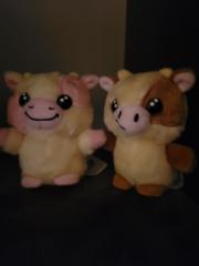 Nicolas Fafard Nicotine