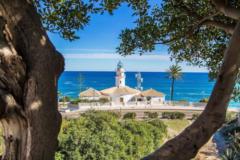 Juan Andres Palacios