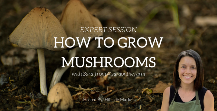 BIG NEWS: First Expert Session is BOOKED!