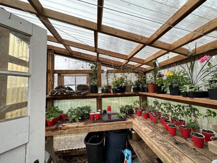 Make Sure You do This With the Plants That You Buy!!