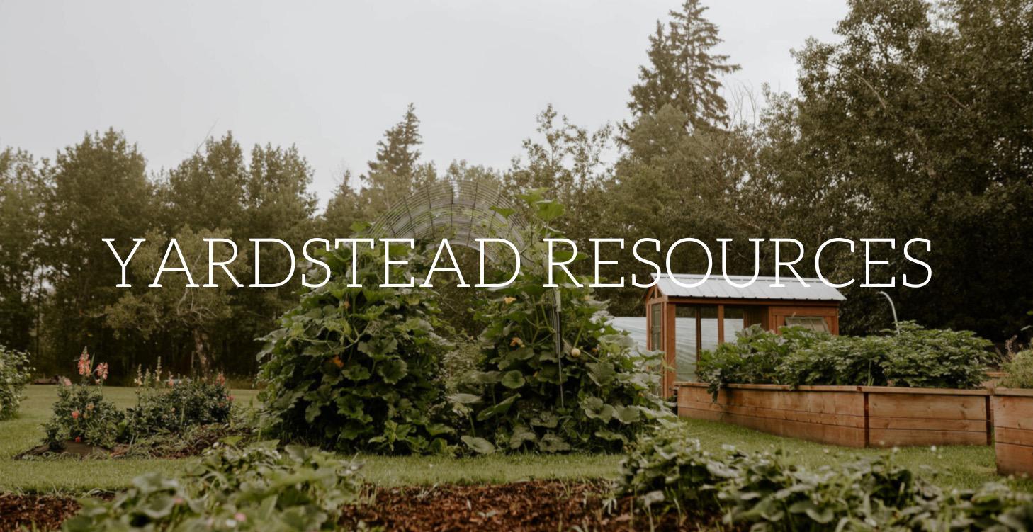 6. Yardstead Resources