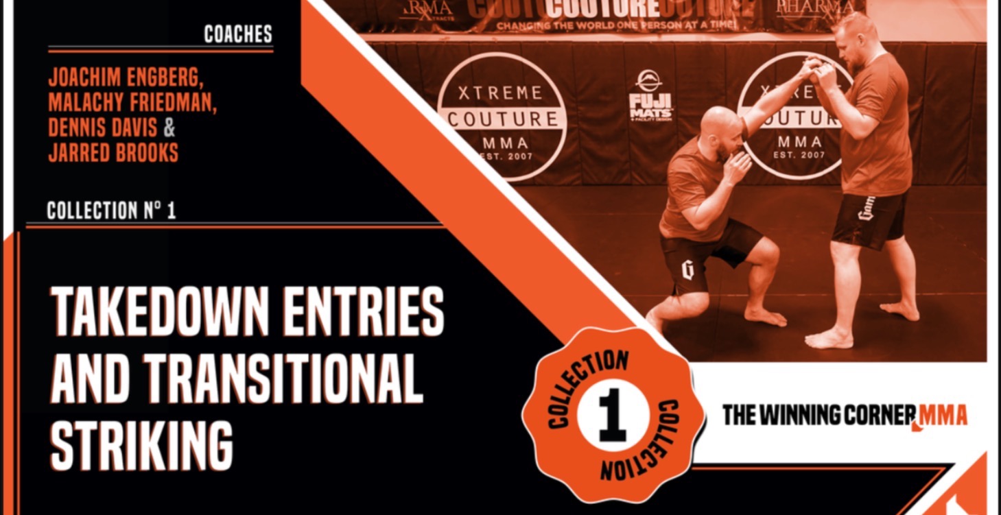 Takedown Entries and Transitional Striking