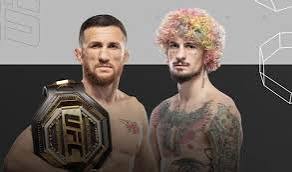 UFC 316 