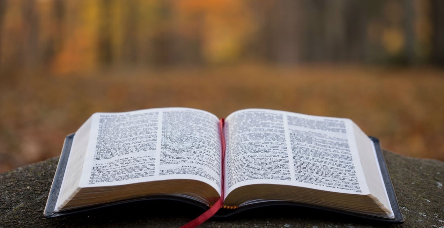 Kingdom Investing Principles