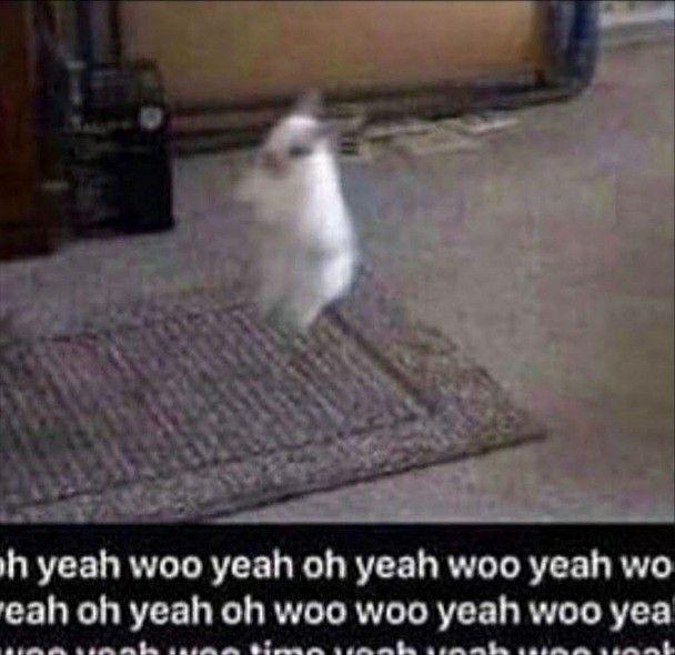 Mi más sincera crítica 