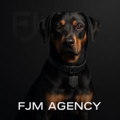 Fjm Agency