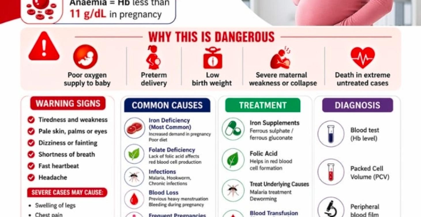 Anaemic in pregnancy