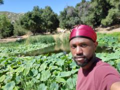 Kelvin Mashonganyika