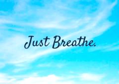 Pam Price