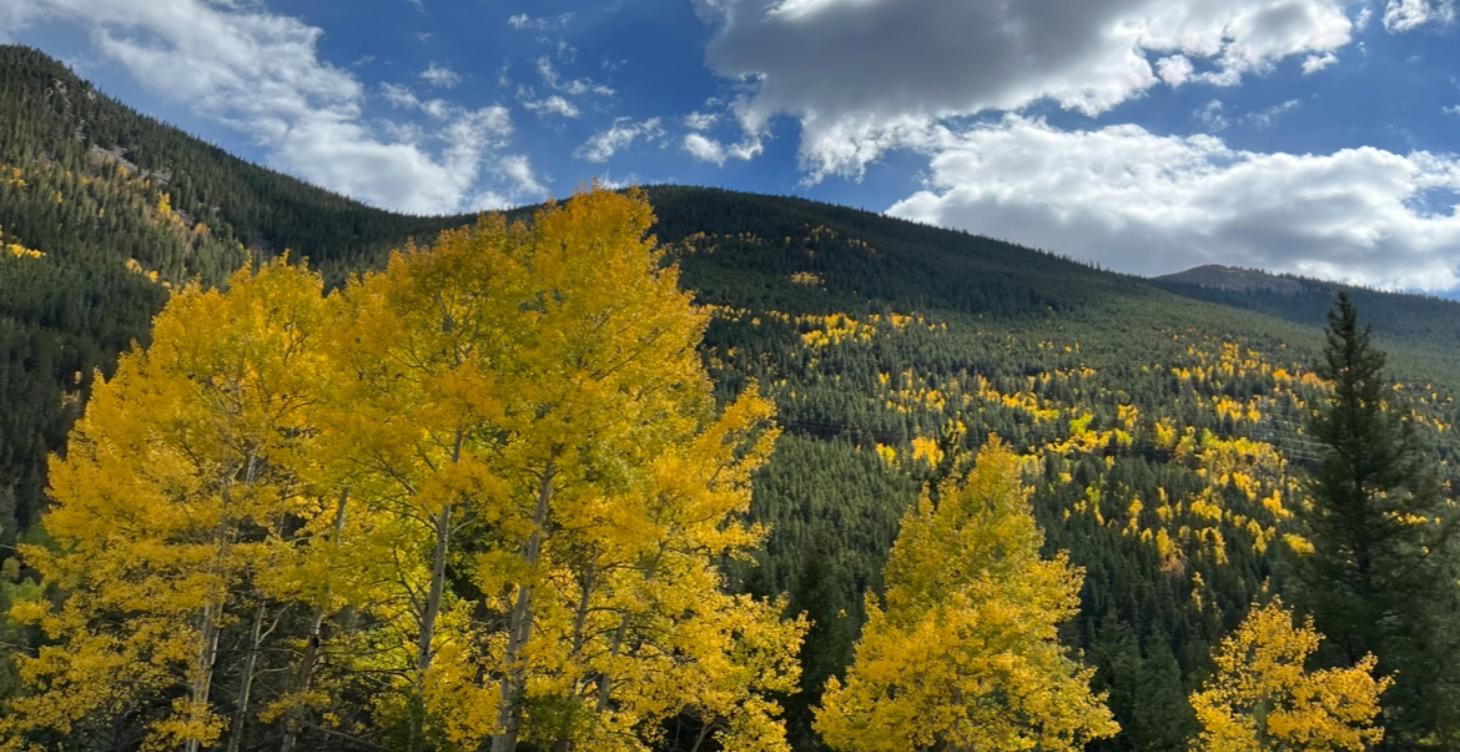 Peacemakery Planet - Constitution