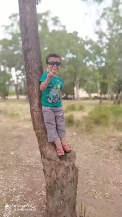 Amar Hichem