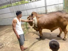 Đặng Như Quỳnh