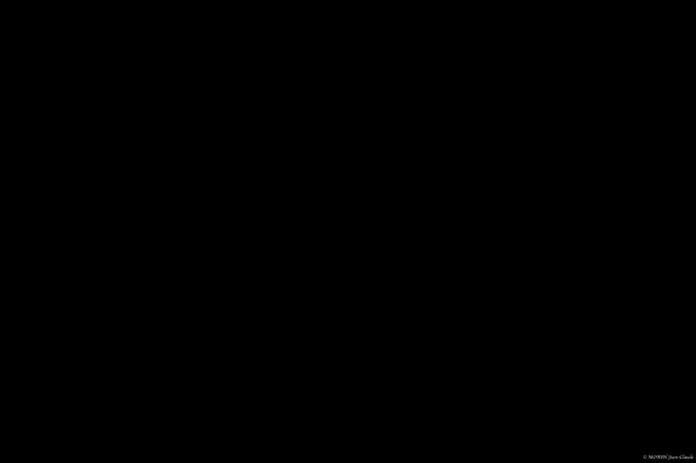 Lukas Nrmd