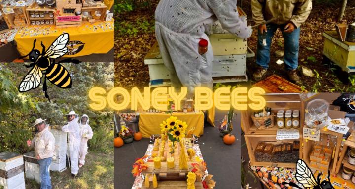 BeeBoyzzz