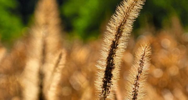 Become Your Own Health Coach