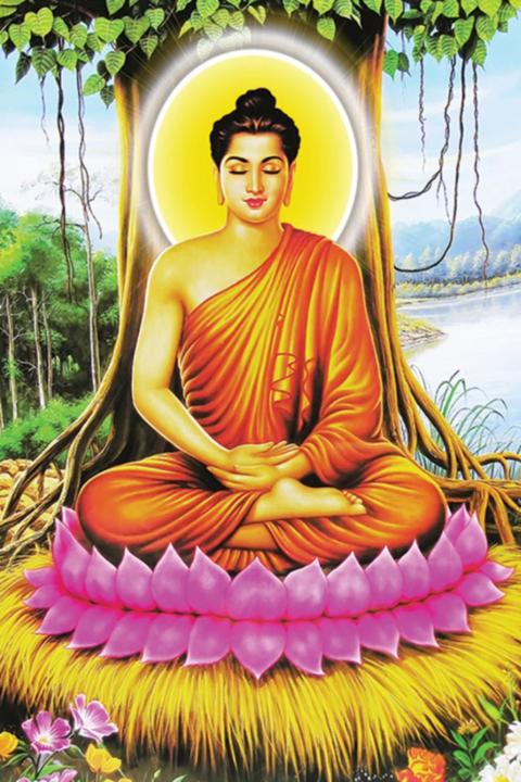 Anhcao Lan