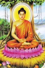 Anhcao Lan