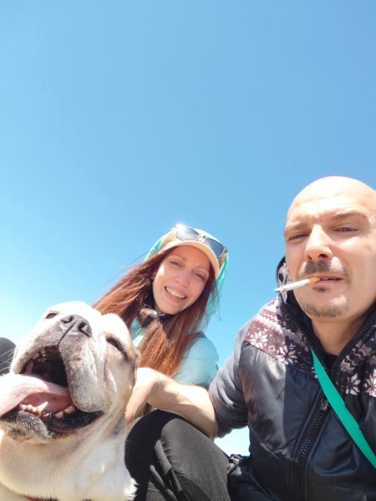 Michele E Jenni