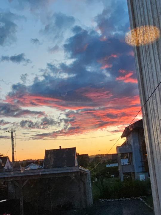 Amina Mohamed Bashir