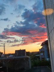 Amina Mohamed Bashir