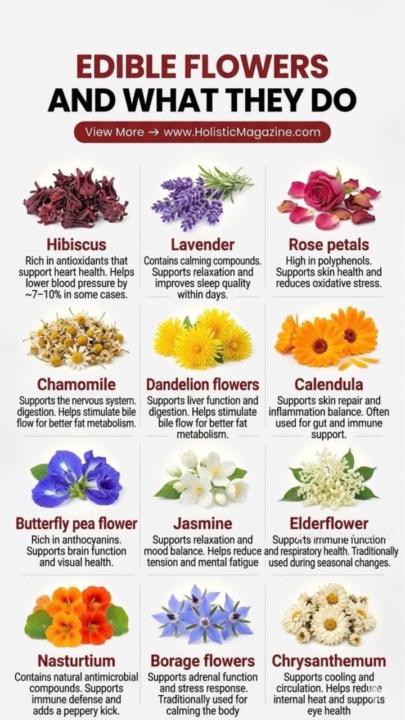 🌸 The Secret Weapon of Lazy Gardening | Die Geheime Wapen van 'n "Lui" Tuin