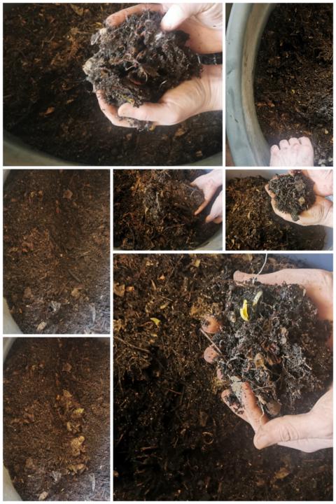 Healthy Soil | Gesonde Grond