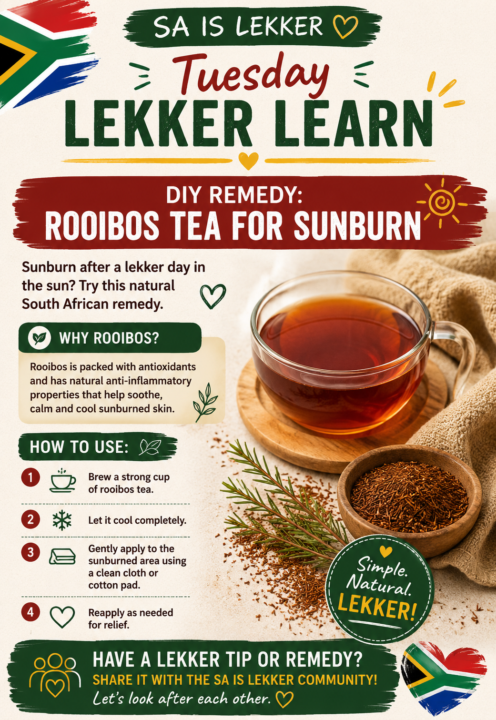  Lekker Learn