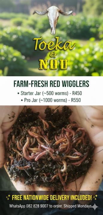 Earthworms / Erdwurms 