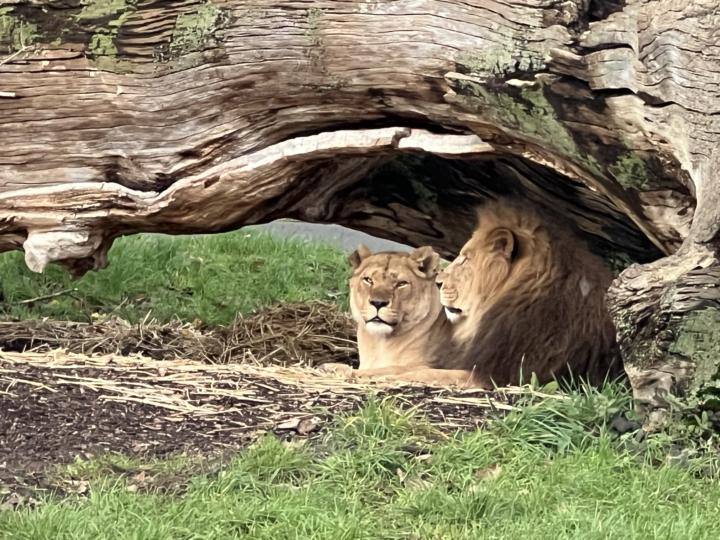 I'm on leave at the moment