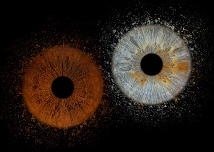 Филип Теодосиев