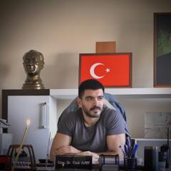 Emir Sarı