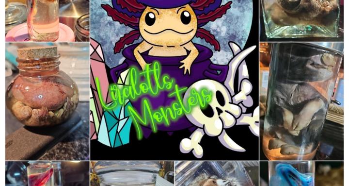 Nikki's Monster Academy