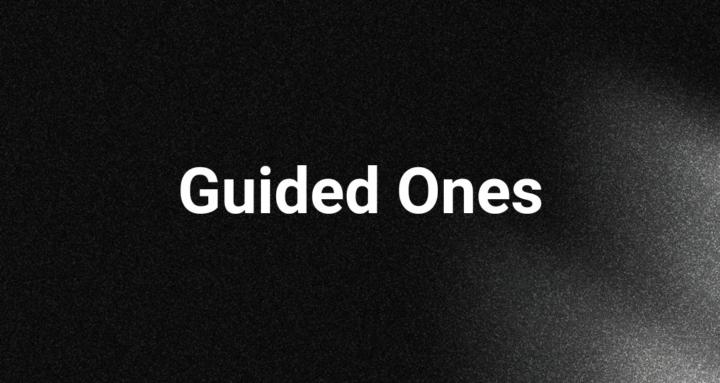 Guided Ones