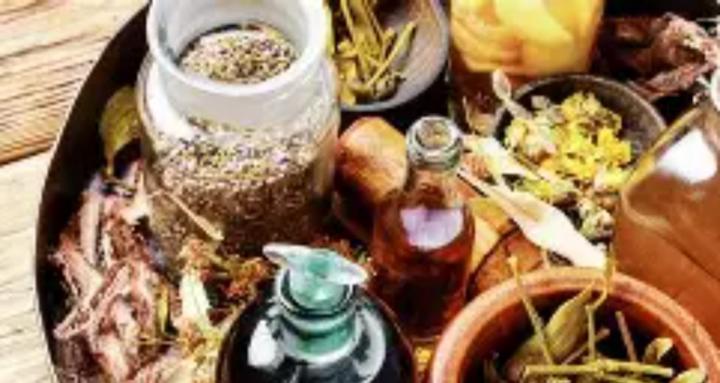 Get Rooted in Herbalism