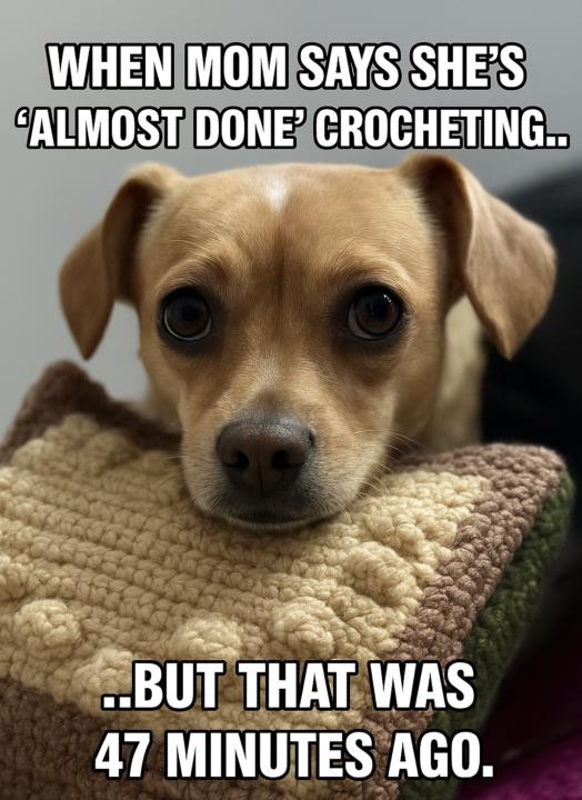 Anyone else get this face?