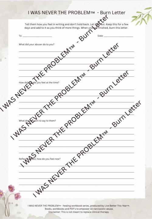 I WAS NEVER THE PROBLEM™️ - Burn Letter