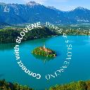 Connect with Slovene icon