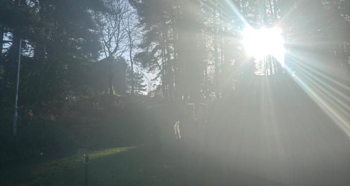 Energy vibes tarot cards🦋