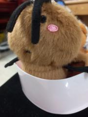 Pan Jing