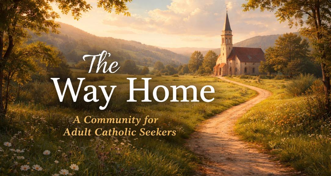The Way Home
