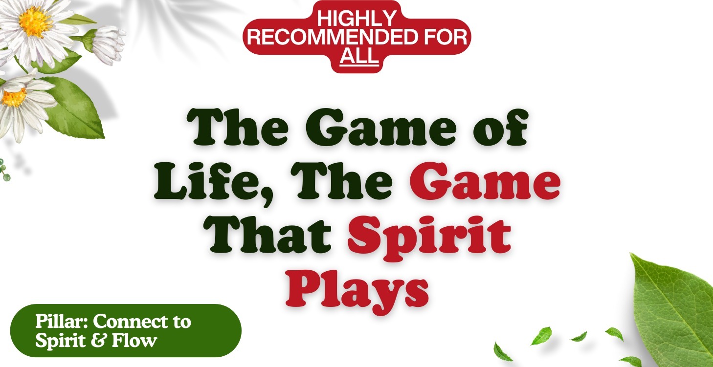The Game of Life, The Game That Spirit Plays
