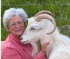 Susanne Helm