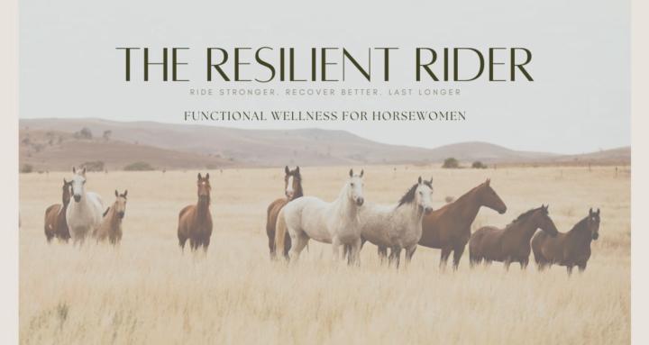 The Resilient Rider