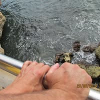 Joëlle van Huffelen